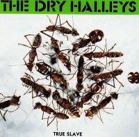 The Dry Halleys • True Slave CD