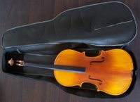 Cello Tasche