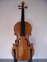 Nice violin