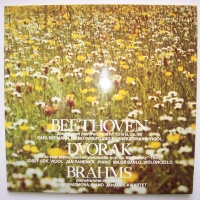 Beethoven, Dvorak, Brahms 2 LPs