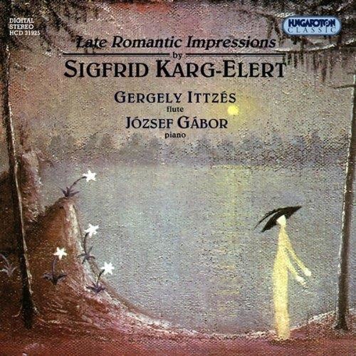 Sigfrid Karg-Elert (1877-1933) - Late romantic Impressions CD