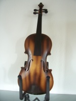 Herrliche Antonius Stradivarius