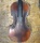 Violin of exceptional beauty PETRUS JACOBUS RUGGERIUS