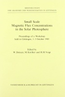 Small Scale Magnetic Flux Concentrations in the Solar...