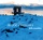 MiN-ensemblet • Arctic contrasts CD