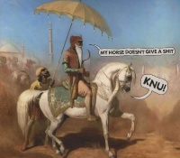 Knu! • My Horse doesnt give a Shit CD