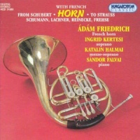Ádám Friedrich • From Schubert to...