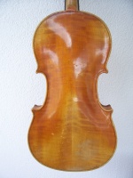 Unique Violin with frets