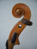 Unique Violin with frets