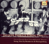 Jacques Thibaud String Trio • Live at Peaceful Bend...