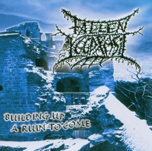 Fallen Yggdrasil • Building up a Ruin to come CD