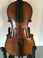 Particularly beautiful violin