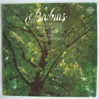 Hans Petermandl: Brahms (1833-1897) • Variations for...