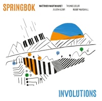 Springbok | Matthieu Marthouret • Involutions CD