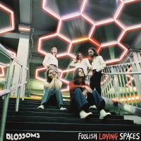 The Blossoms • Foolish Loving Spaces CD