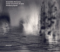 Ensemble Belcanto | Dietburg Spohr • Come unOmbra di...