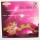 Ludwig van Beethoven (1770-1827) • Les 10 sonates pour violon et piano Vol. 2 LP • Clara Haskil & Arthur Grumiaux